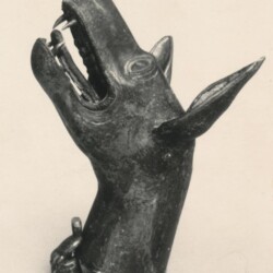 Hundekopf - FG unbkt.