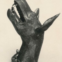 Hundekopf - FG unbkt.