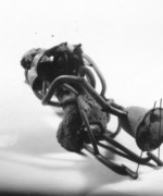 Figur in Wachs mit Gußkanal - KA. FG UK.