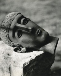 Haus & Gartenwächter - FG unbkt.