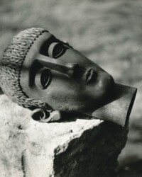 Haus & Gartenwächter - FG unbkt.