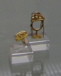 Gold-Ringe im Schleudergußverfahren hergestellt - FG privat