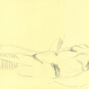 007_undatiert - 31,
5 x 49,5cm